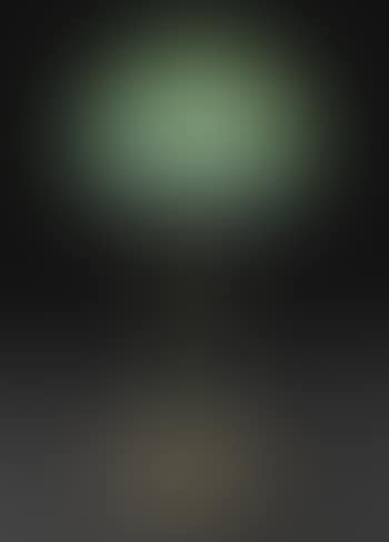A table lamp (preview)