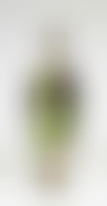 A Cameo vase (preview)