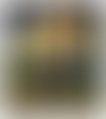 A Symbolic Landscape window (preview)