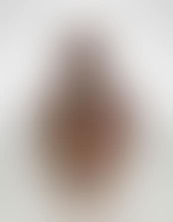 A Cypriote vase (preview)