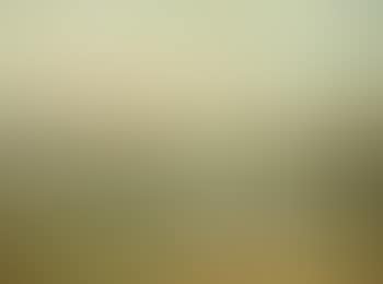 Landscape (preview)