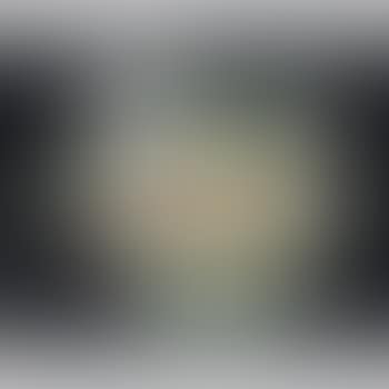 [Untitled] (preview)
