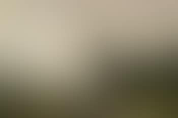Prater Landscape (preview)