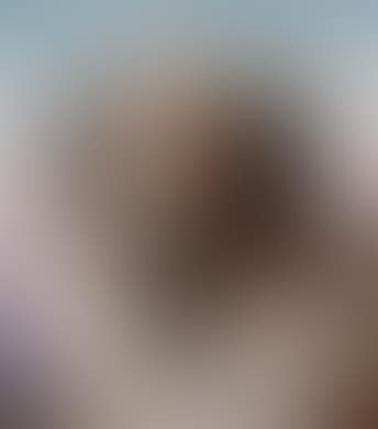 Saint Bernhard (preview)
