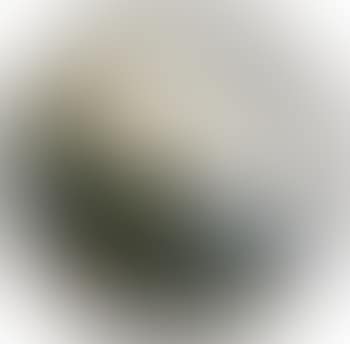 Small Southern View (preview)