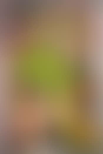 Es Gibt Zum Glück Nur Stoffwechsel... (preview)
