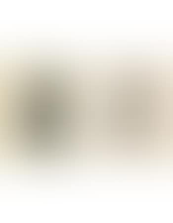 Two Untitled Works (preview)