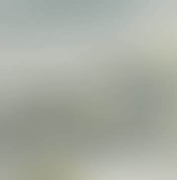 Spring Willow On The River (preview)
