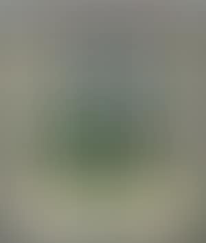Tuscan landscape (preview)