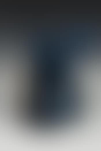 AV #31 with 6" Figure (preview)
