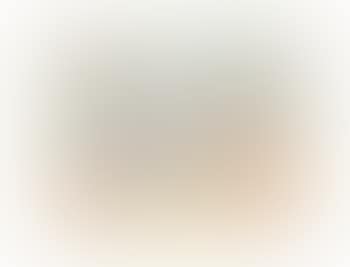 Colombe volant (Bloch 712; Mourlot 214) (preview)