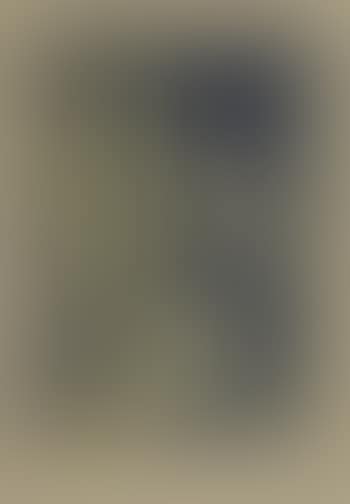 Portrait of a Young Man (Mystification) (preview)