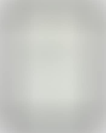Untitled Text Msg (Steve) (preview)