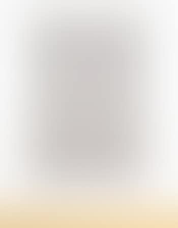 Untitled (P63) (preview)