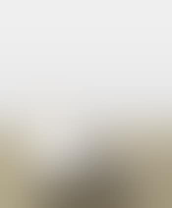 Untitled (Lower Face) (preview)