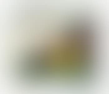 Fast Palace (preview)