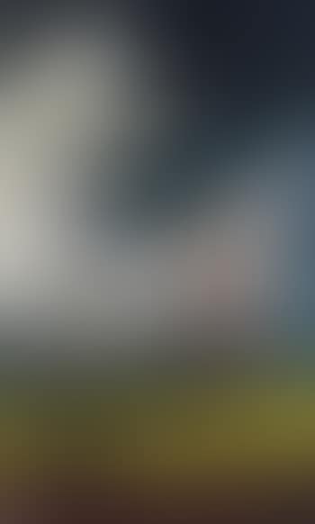 Untitled (preview)