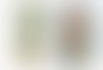 Untitled (Jessica's Hot to Dot); Wish you were blonde (preview)