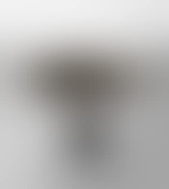 Compote (preview)