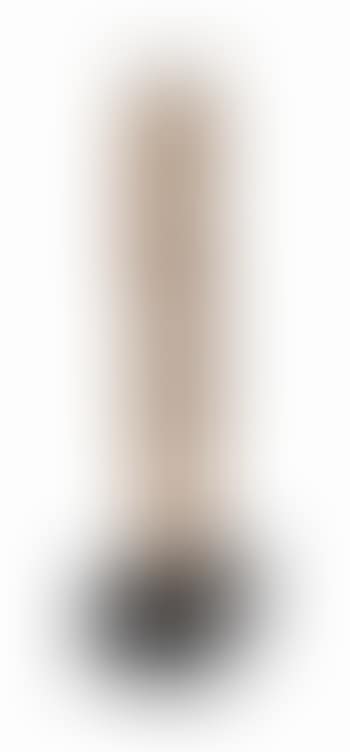 Standing Nude (preview)