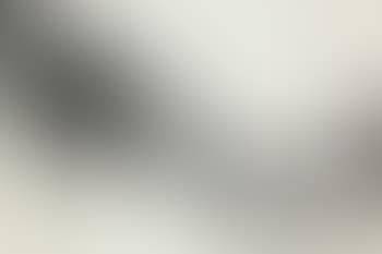 Shoe (preview)