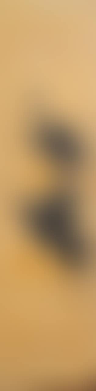 Gourd (preview)