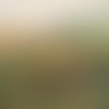 Paisaje oleo sobre tela (preview)