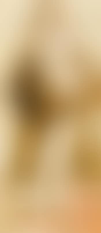 Standing remale nude, after Rubens (preview)