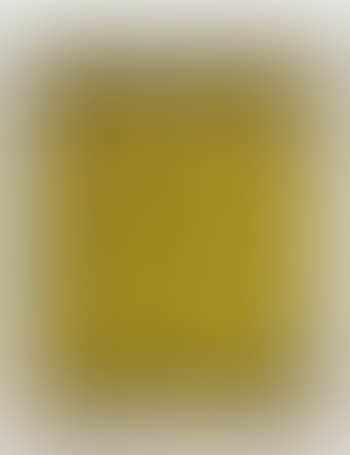 Pumpkin - Yellow (preview)