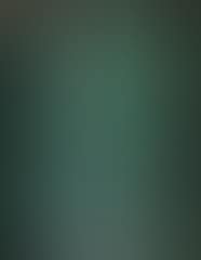 Composition in black and green (preview)