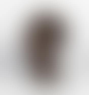 Head (preview)