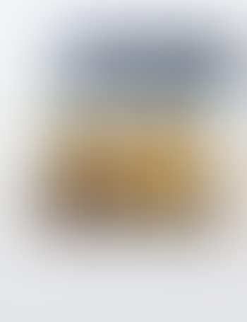 2 lattine con dentro Van Gogh (preview)