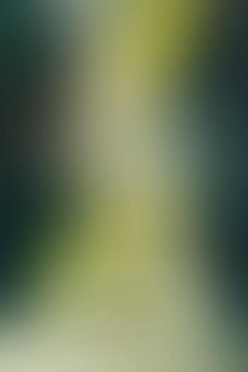 3.4.60-1.2.69 (preview)