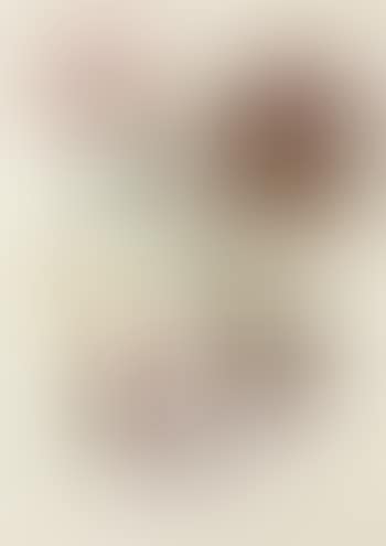 Golden Head (preview)