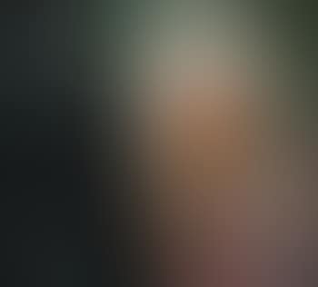 Death and Life after Gustav Klimt from Pictures of pigment (preview)