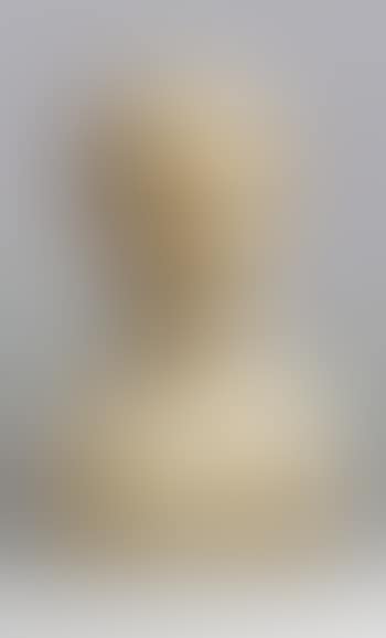 Mrs Emily Chadbourne (preview)