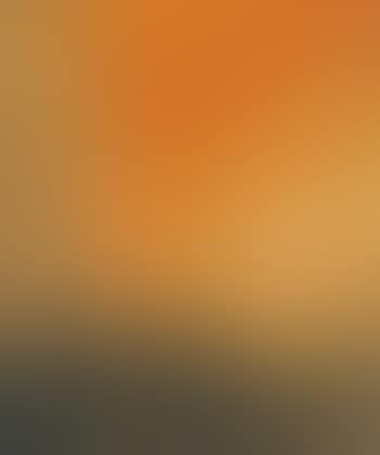 Orange Forest (preview)
