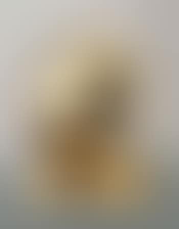 Disco Solare (preview)