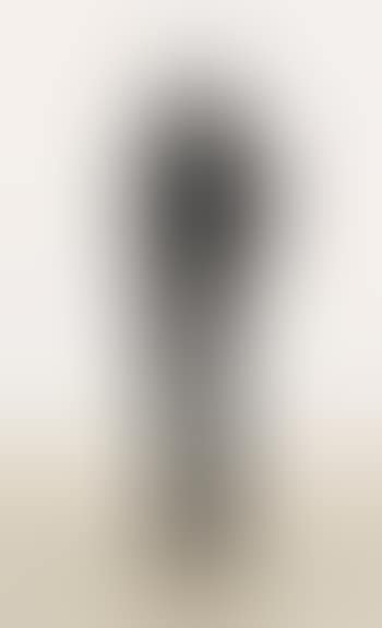 Small Gut 2 II (preview)