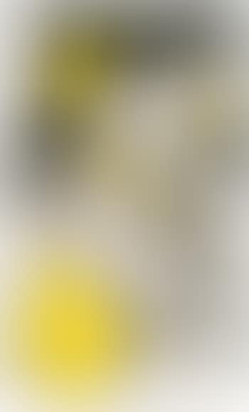 Untitled (Found Erotic Photograph) by Konrad Lueg (preview)