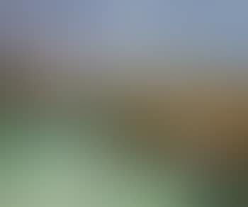 Le Port (preview)