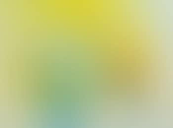 Harmonie Blanc Et Jaune (preview)