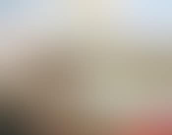Palm (preview)
