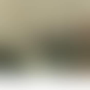 Silvery Days, Essex (preview)