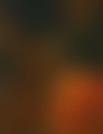 Composition (preview)