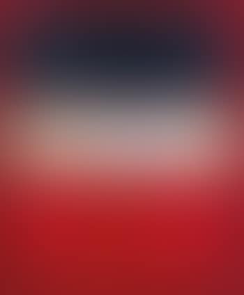 No 46 (Red, Ochre, Black on Red), after Rothko (Pictures of Pigment) (preview)