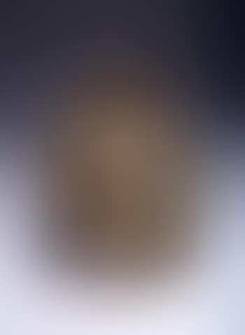 Vase (preview)