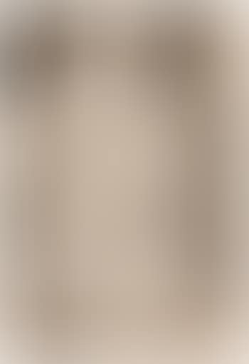 Study of Mrs. Allan Bott (preview)