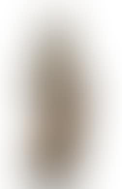 Risen Christ (preview)