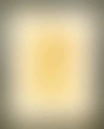 Portrait of an unknown man (preview)